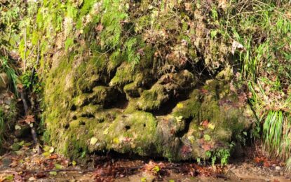 4t va d’excursió al Torrent dels Colobrers