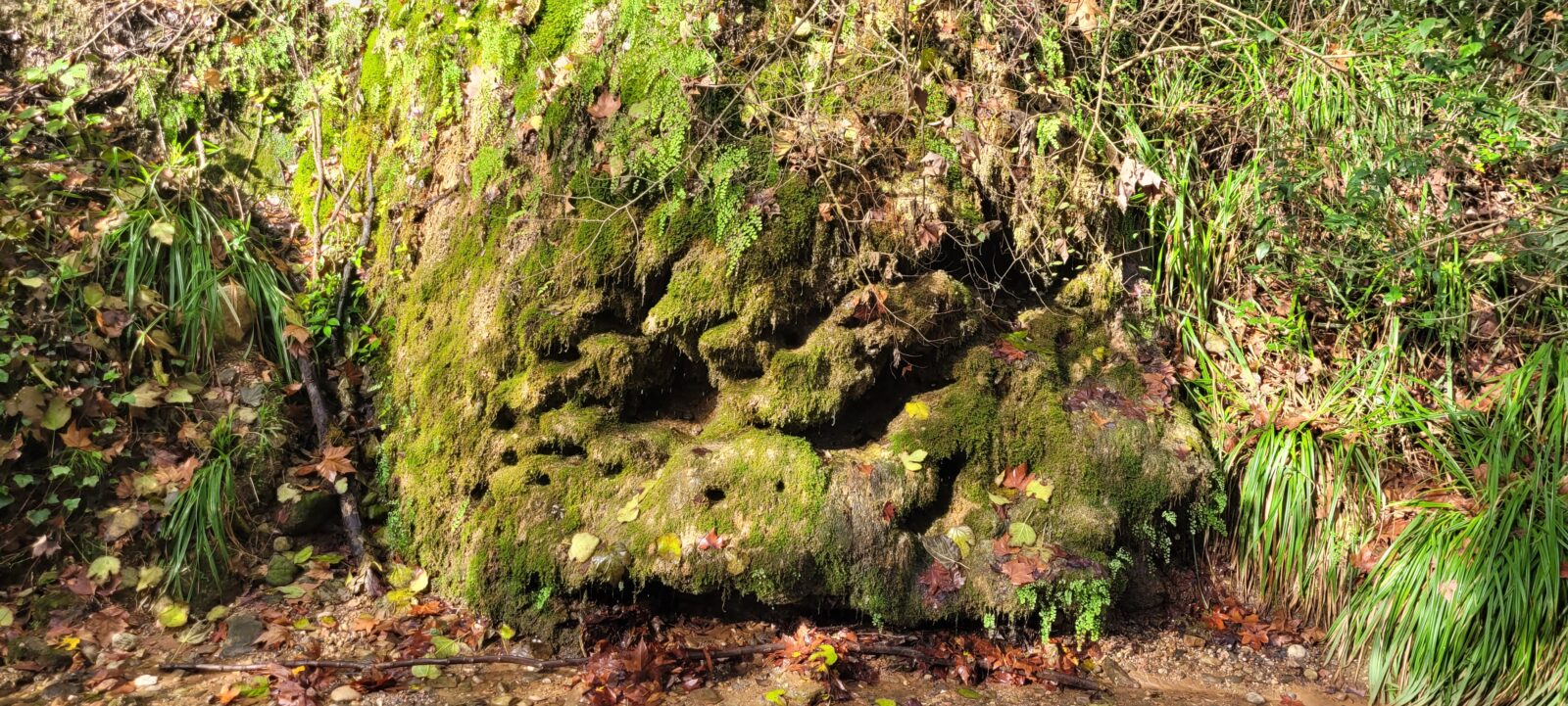 4t va d’excursió al Torrent dels Colobrers